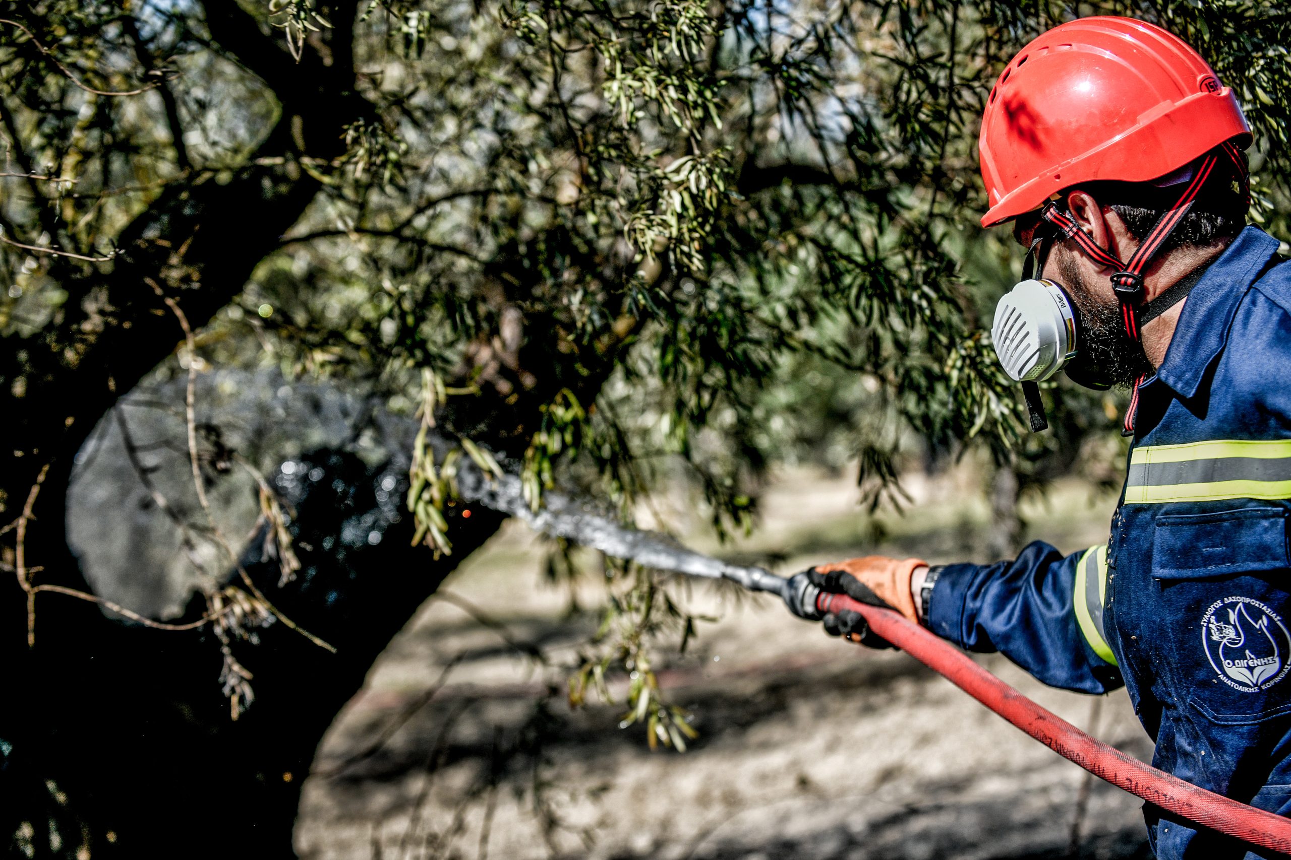 Σε επιφυλακή οι Αρχές για τον κίνδυνο πυρκαγιάς: Έκτακτα μέτρα στις περιφέρειες υψηλού κινδύνου