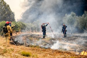 Οριοθετήθηκε η  πυρκαγιά στην εθνική οδό Σερρών – Θεσσαλονίκης