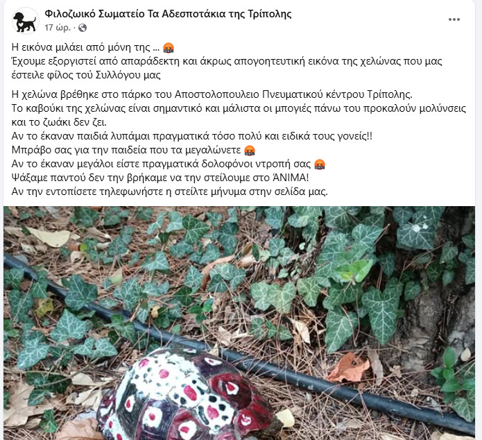 Screenshot 2025 08 22 141943 | Lamianow.gr