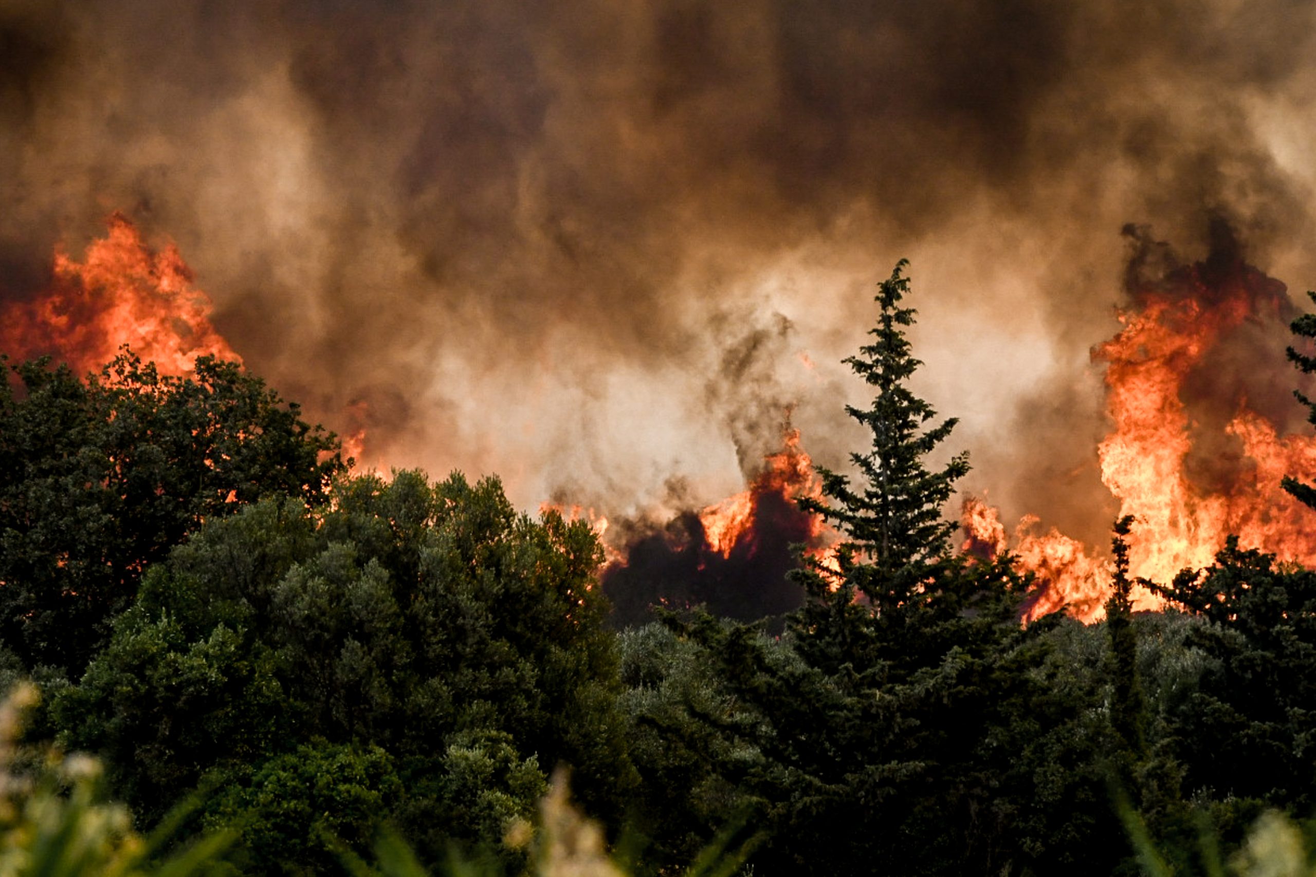 Παρατείνεται έως τον Δεκαπενταύγουστο η απαγόρευση κυκλοφορίας σε περιοχές της Χαλκιδικής