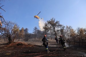 Συνελήφθη 62χρονος για την φωτιά  στην Παιανία – Κινήθηκε με ποδήλατο και την άναψε με αναπτήρα