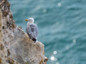 Καιρός: Αλλαγή σκηνικού με μεσημεριανές καταιγίδες την Κυριακή – Υψηλός κίνδυνος πυρκαγιών για 33 περιοχές