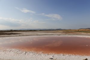 Σε συνθήκες ξηρασίας η μισή Ελλάδα: Ο χάρτης της «ερημοποίησης» και το γεγονός που θα ανέτρεπε όλες τις προβλέψεις