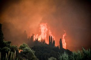 Γαλλία: Υπό έλεγχο το πύρινο μέτωπο στον νομό Λαντ, ανακοίνωσε ο Μακρόν