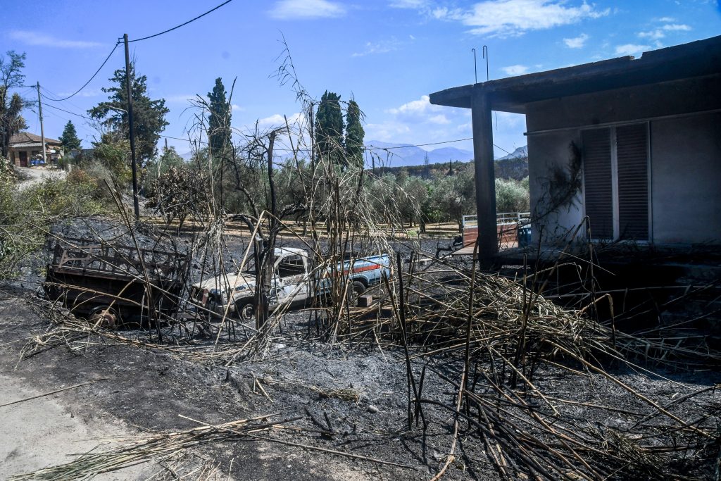 Πάτρα: Απολογούνται σήμερα ο 19χρονος και ο 27χρονος για τη φωτιά στα Συχαινά