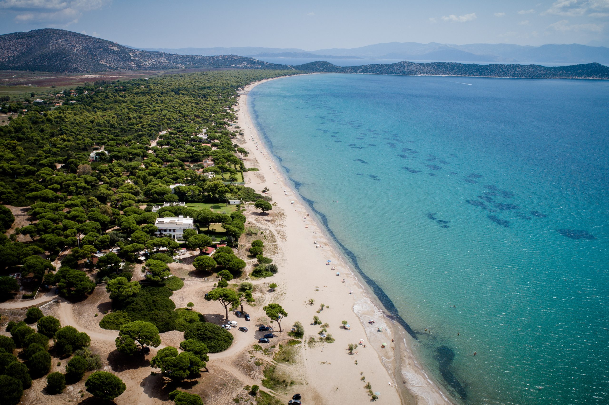 &Epsilon;&nu;&iota;&sigma;&chi;ύ&epsilon;&tau;&alpha;&iota; &eta; &pi;&rho;&omicron;&sigma;&tau;&alpha;&sigma;ί&alpha; &tau;&omega;&nu; &alpha;&kappa;&tau;ώ&nu;: 13 &nu;έ&epsilon;&sigmaf; &laquo;&alpha;&pi;ά&tau;&eta;&tau;&epsilon;&sigmaf;&raquo; &pi;&alpha;&rho;&alpha;&lambda;ί&epsilon;&sigmaf; &sigma;&tau;&eta; &lambda;ί&sigma;&tau;&alpha;