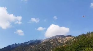 Βελτιωμένη η εικόνα των πυρκαγιών στον Εθνικό Δρυμό της Βάλια Κάλντα και στο Παρανέστι Δράμας