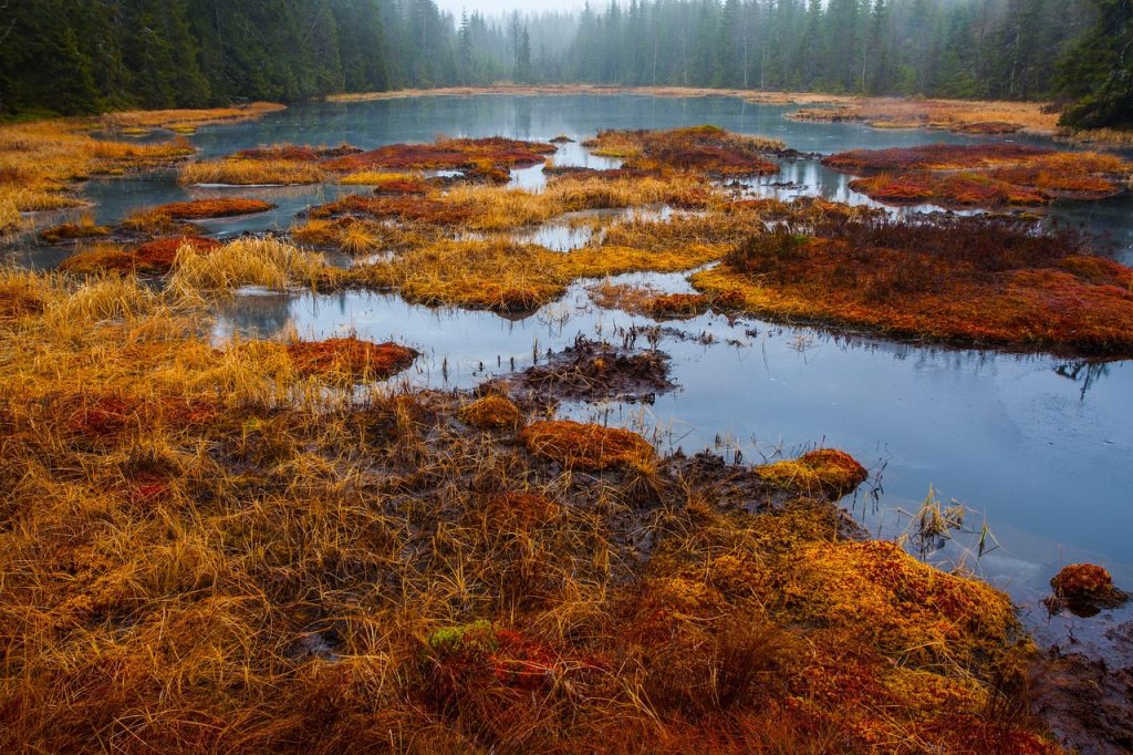 «Βαλτώνοντας» τον επεκτατισμό του Πούτιν και την κλιματική αλλαγή