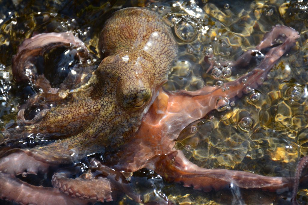 style=margin-bottom: