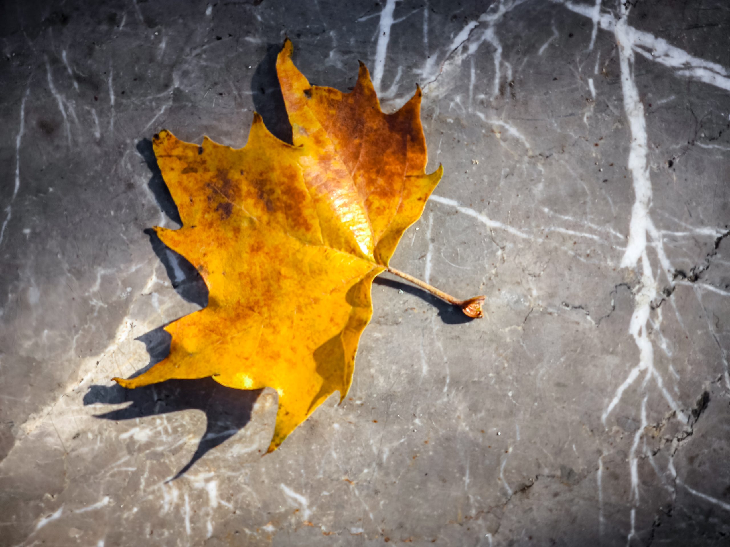 Τελικά φθινοπώριασε; Τι λένε τα μερομήνια για τον Οκτώβριο και τον Νοέμβριο
