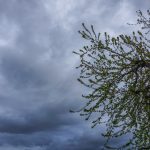 Σύννεφα, τοπικές βροχές και βοριάδες: Πώς θα εξελιχθεί ο καιρός το Σαββατοκύριακο