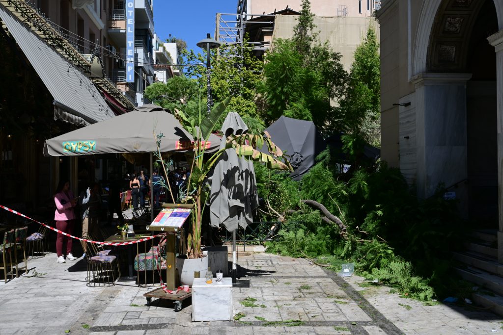 Πτώση δέντρου στο Μοναστηράκι: Δύο τραυματίες (φωτογραφίες)