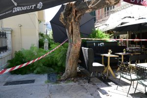 Δύο τραυματίες από πτώση δέντρου στο κέντρο της Αθήνας: Τι απαντά ο Δήμος