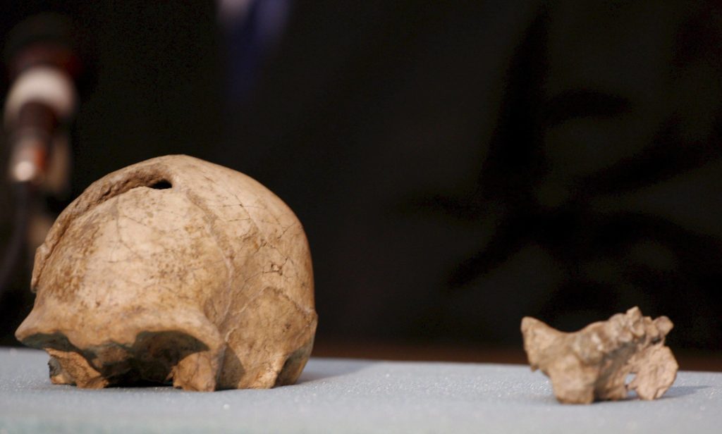 Ανατροπή στην ανθρώπινη εξέλιξη: Homo sapiens εμφανίστηκε ένα εκατομμύριο χρόνια πριν