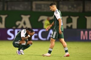 Aυτοκριτική στην ΠΑΕ Παναθηναϊκός; Μια άγνωστη λέξη