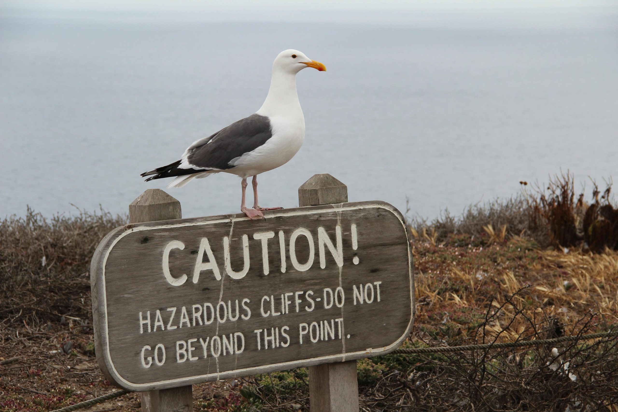 7+1 πιο περίεργες πινακίδες στο κόσμο