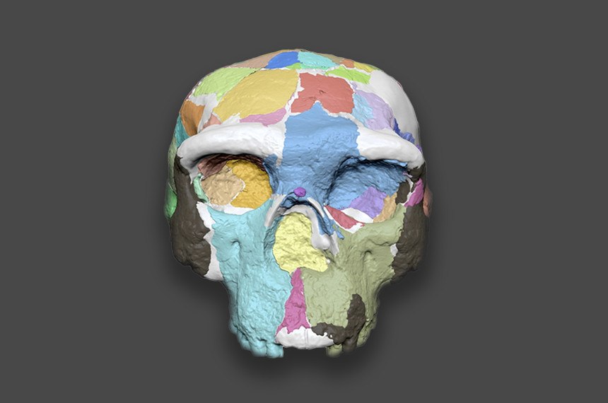 Ανακάλυψη απολιθωμένου κρανίου στην Κίνα ενδέχεται να ανατρέψει όσα γνωρίζαμε για την ανθρώπινη εξέλιξη