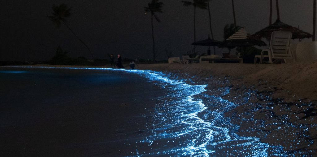 style=margin-bottom: