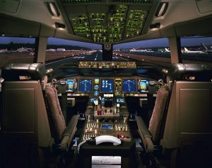 Ιταλία: Ξεκινούν οι πτήσεις με μεγάλους σκύλους στην καμπίνα σε θέση επιβάτη