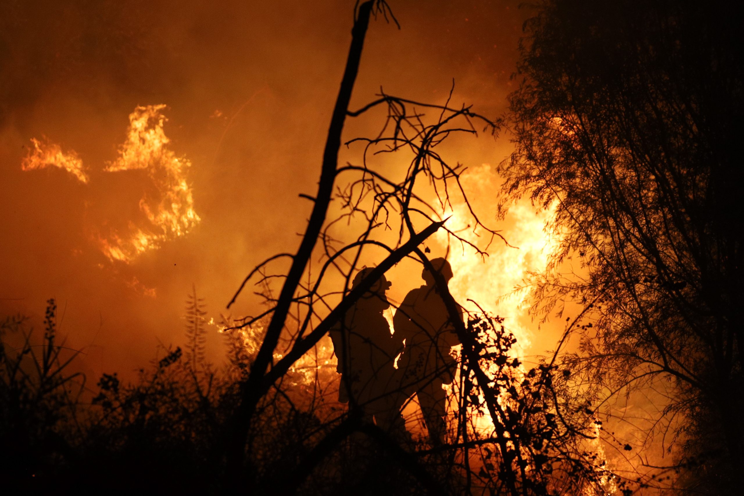 Ιαπωνία: Μεγάλη πυρκαγιά στην Όιτα – Εκτεταμένες ζημιές, δεκάδες εκκενώσεις και ένας αγνοούμενος
