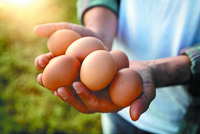 Το αυγό κάνει comeback – Γιατί το αποκαλούν “φυσικό superfood”