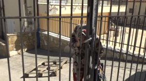 Θρίλερ με τη 92χρονη στη Βοιωτία: Έπαιρνε 4 επιδοτήσεις και 3.000 ευρώ μετά τον θάνατό της – Νέες αποκαλύψεις