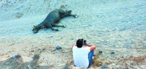 «Η Σαντορίνη έχει καταντήσει μια μεγάλη Disneyland»