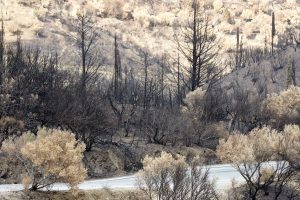 Πυρόπληκτες περιοχές Ηπείρου: Ανοίγει ο δρόμος για αποζημιώσεις σε κτίρια