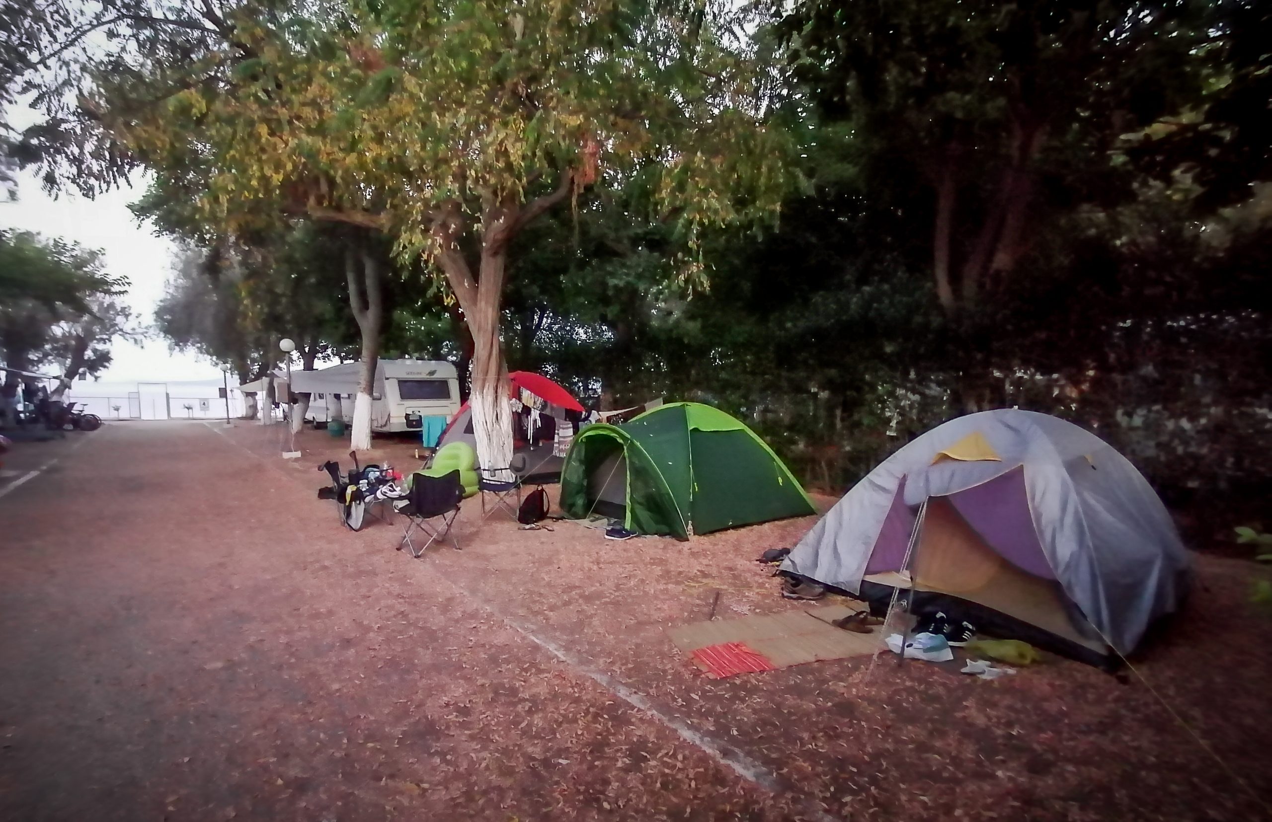 Διπλό φονικό στη Φοινικούντα: Οι Αρχές “ξεψαχνίζουν” το παρελθόν του ιδιοκτήτη – Στο μικροσκόπιο σχέσεις και διαθήκη