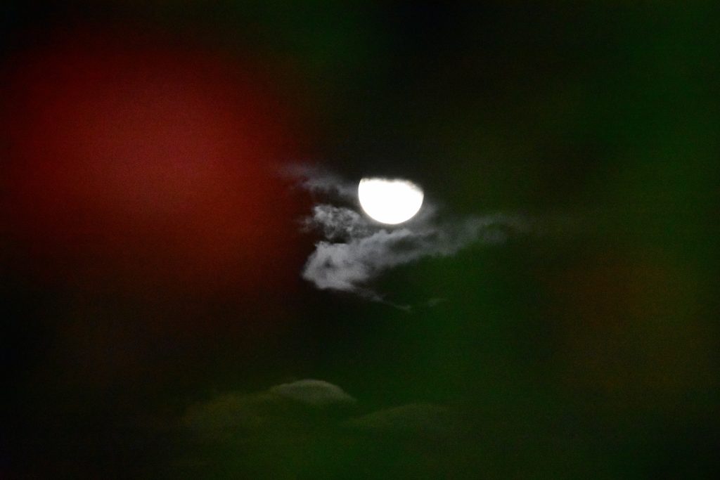 style=margin-bottom: