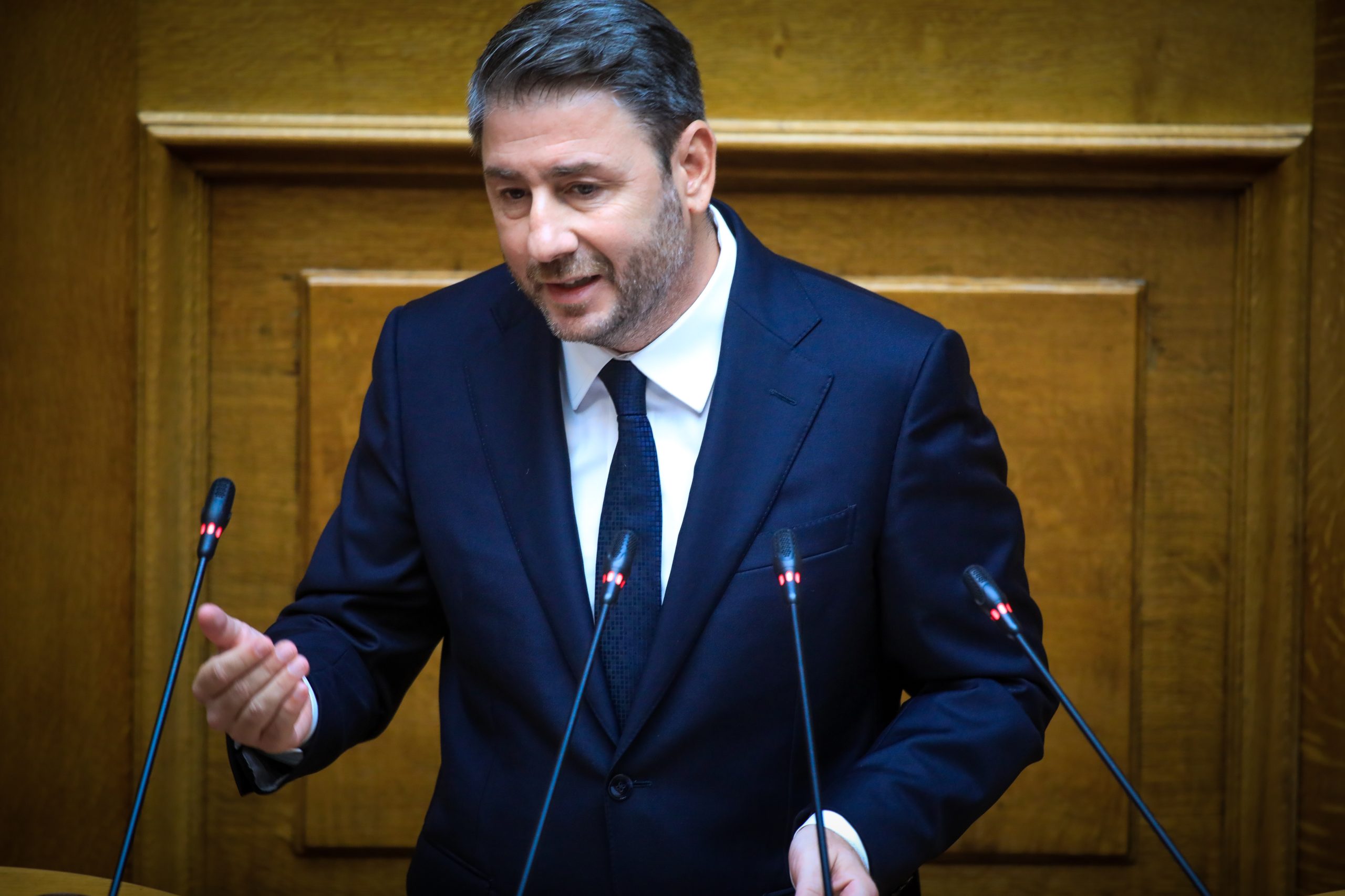 N. Ανδρουλάκης: Με τη στάση σας για τη Γάζα εκθέσατε τη χώρα - Οραματιζόμαστε μια Ελλάδα ισχυρή και εξωστρεφή