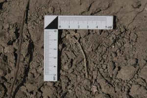 Τουρκία: Ανακαλύφθηκαν σπάνια πολυτελή αντικείμενα στην Τροία