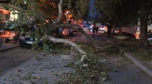 Θεσσαλονίκη: Ισχυροί άνεμοι έως 8 μποφόρ έριξαν δεκάδες δέντρα και πινακίδες