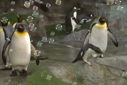 style=margin-bottom: