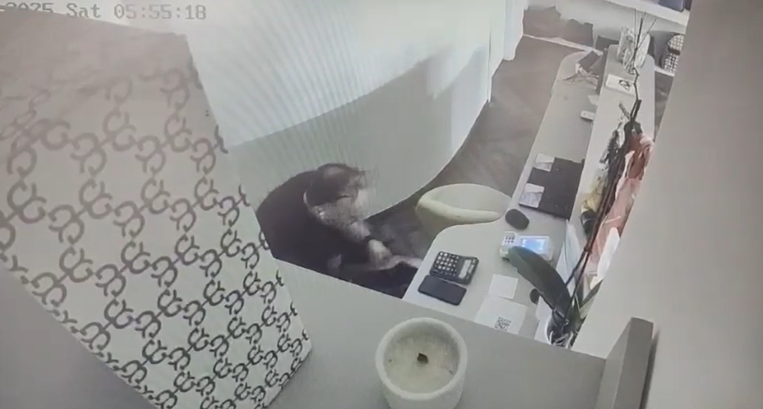 Σύλληψη διαρρήκτη με πλούσια «δράση» στο Κολωνάκι: Βίντεο - ντοκουμέντα αποκαλύπτουν τον τρόπο που δρούσε