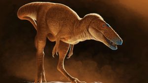 Khankhuuluu: Ανακαλύφθηκε ο «πρίγκιπας των δράκων» – Ποιος είναι ο πρόγονος του T. rex