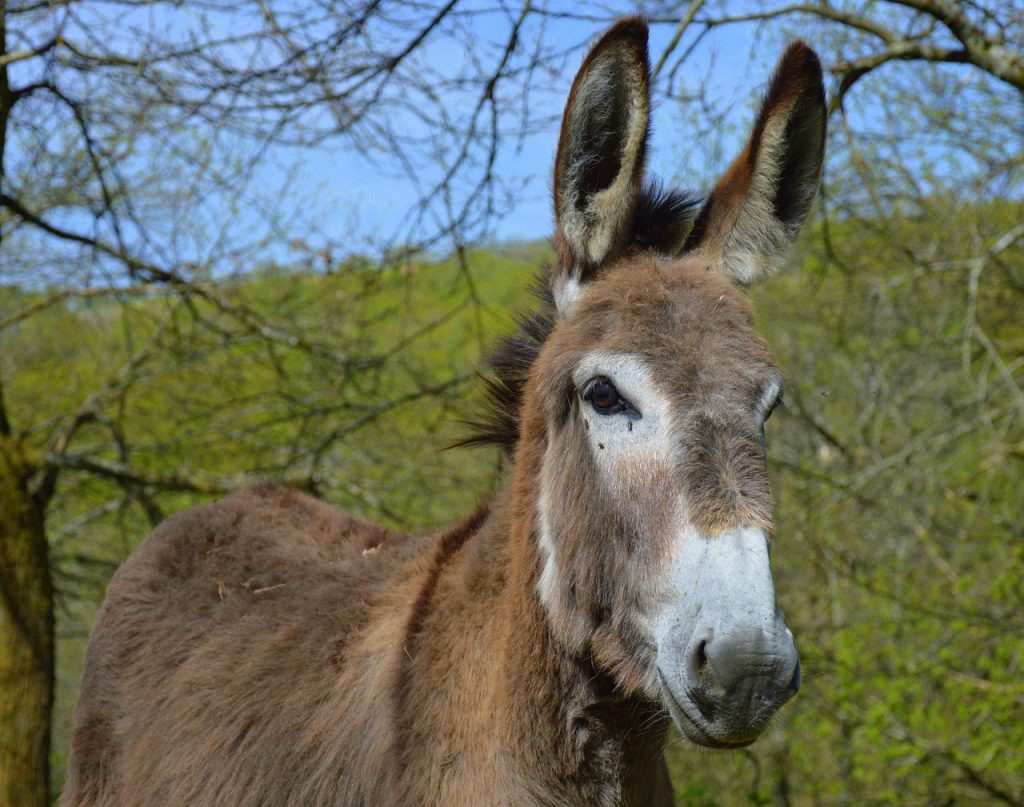 style=margin-bottom: