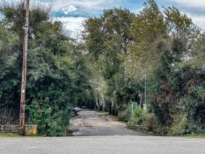 Φοινικούντα: Σήμερα η απολογία του 30χρονου για συνέργεια – «Ήταν σαν να μιλούσε κάποιος άλλος, ήταν φοβισμένος»