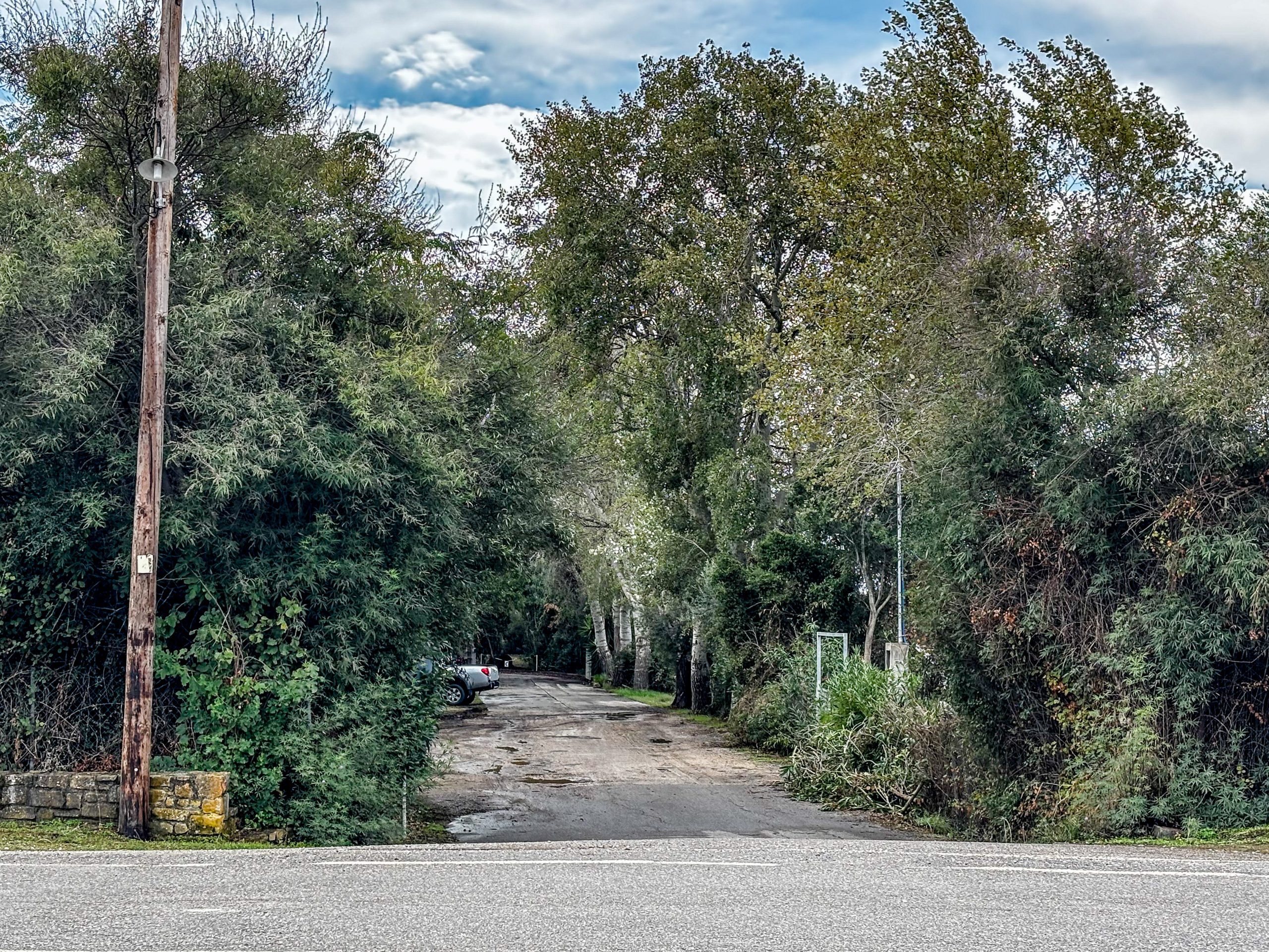 Φοινικούντα: Αναμένονται τρία νέα εντάλματα σύλληψης - Ο ρόλος της γυναίκας-μυστήριο
