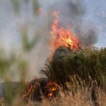 «Βόμβες» τα ακαθάριστα οικόπεδα – Μεγάλος κίνδυνος πυρκαγιάς από τα ξερά χόρτα και την πυκνή βλάστηση