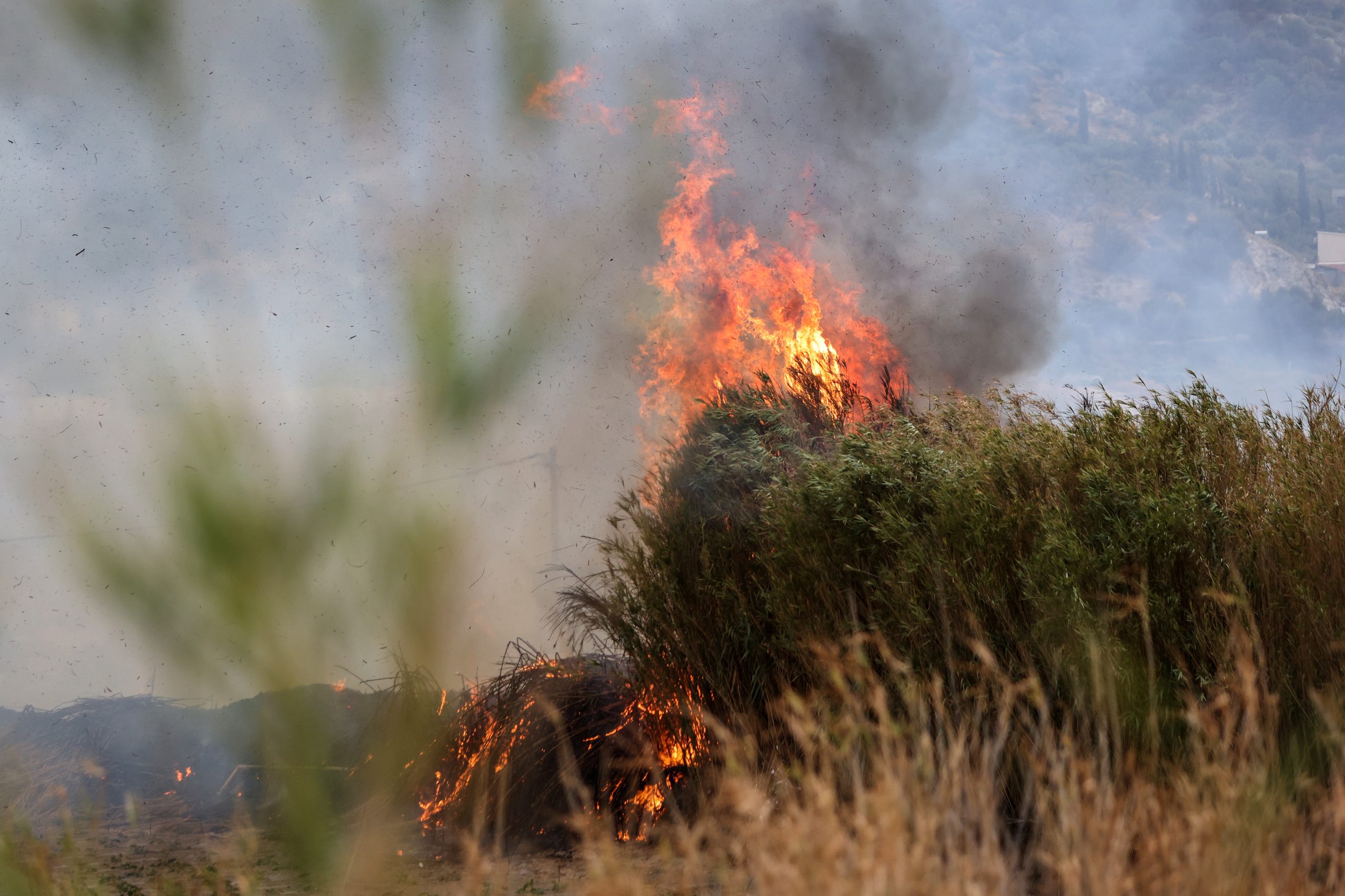 Φωτιά σε δασική έκταση στην Εύβοια – Επιχειρούν εναέρια μέσα