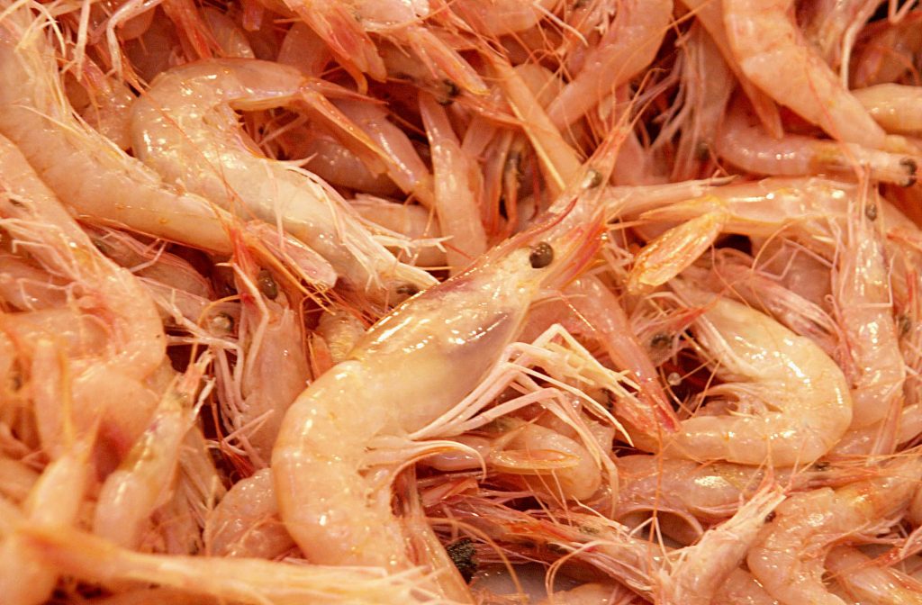 style=margin-bottom: