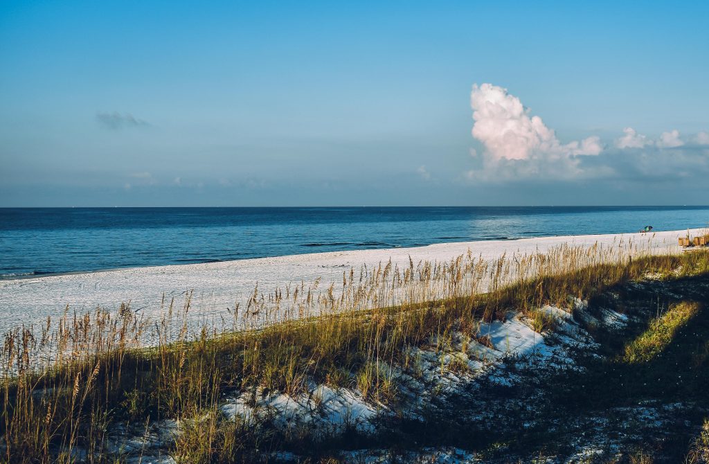 style=margin-bottom: