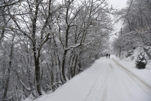 Καιρός: Χειμωνιάτικη εβδομάδα με βροχές, χιόνια και… αλυσίδες στο πορτμπαγκάζ – Η ανάρτηση Κολυδά