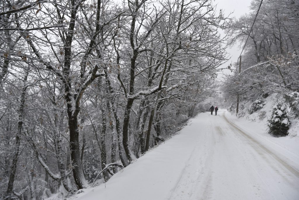 Φόβοι για μίνι Εποχή Παγετώνων στην Ευρώπη - Η επιστροφή του φαινομένου La Ninia