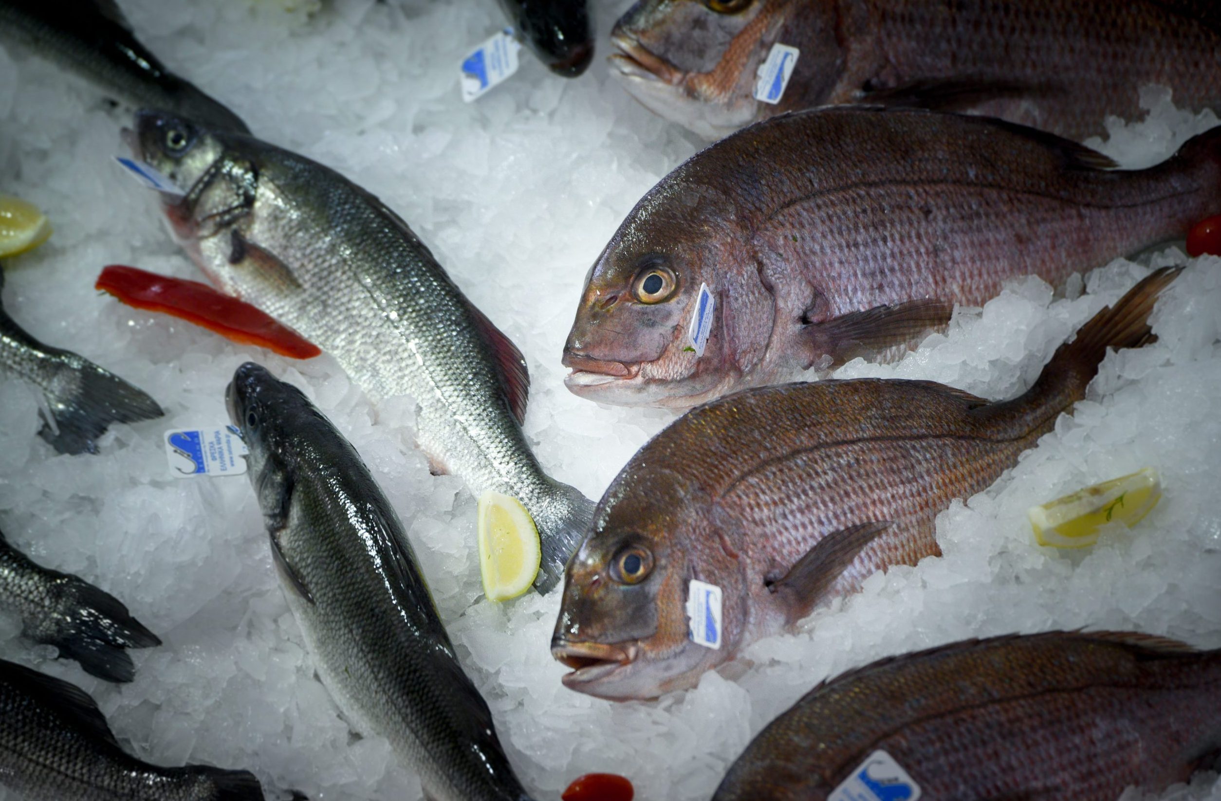 &Psi;ά&rho;&iota;&alpha; &gamma;&iota;&alpha; ό&lambda;&alpha; &tau;&alpha; &beta;&alpha;&lambda;ά&nu;&tau;&iota;&alpha; - &Tau;&iota; &delta;&epsilon;ί&chi;&nu;&omicron;&upsilon;&nu; &omicron;&iota; &tau;&iota;&mu;έ&sigmaf; &sigma;&tau;&eta;&nu; &iota;&chi;&theta;&upsilon;ό&sigma;&kappa;&alpha;&lambda;&alpha; &Kappa;&epsilon;&rho;&alpha;&tau;&sigma;&iota;&nu;ί&omicron;&upsilon;