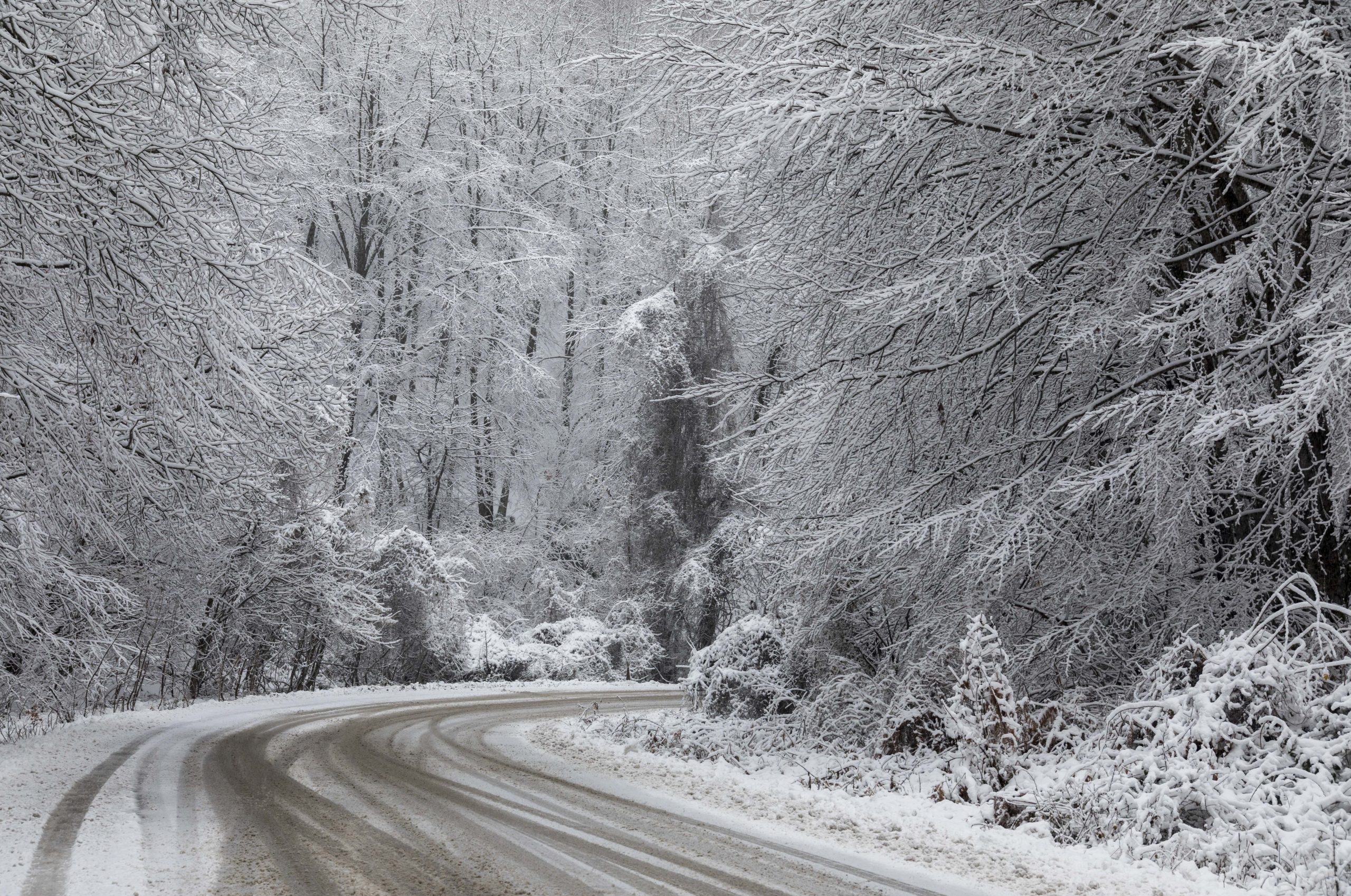 Έπεσαν τα πρώτα χιόνια στα ορεινά των Γρεβενών - Στα «λευκά» ντύθηκε η Βασιλίτσα (video)