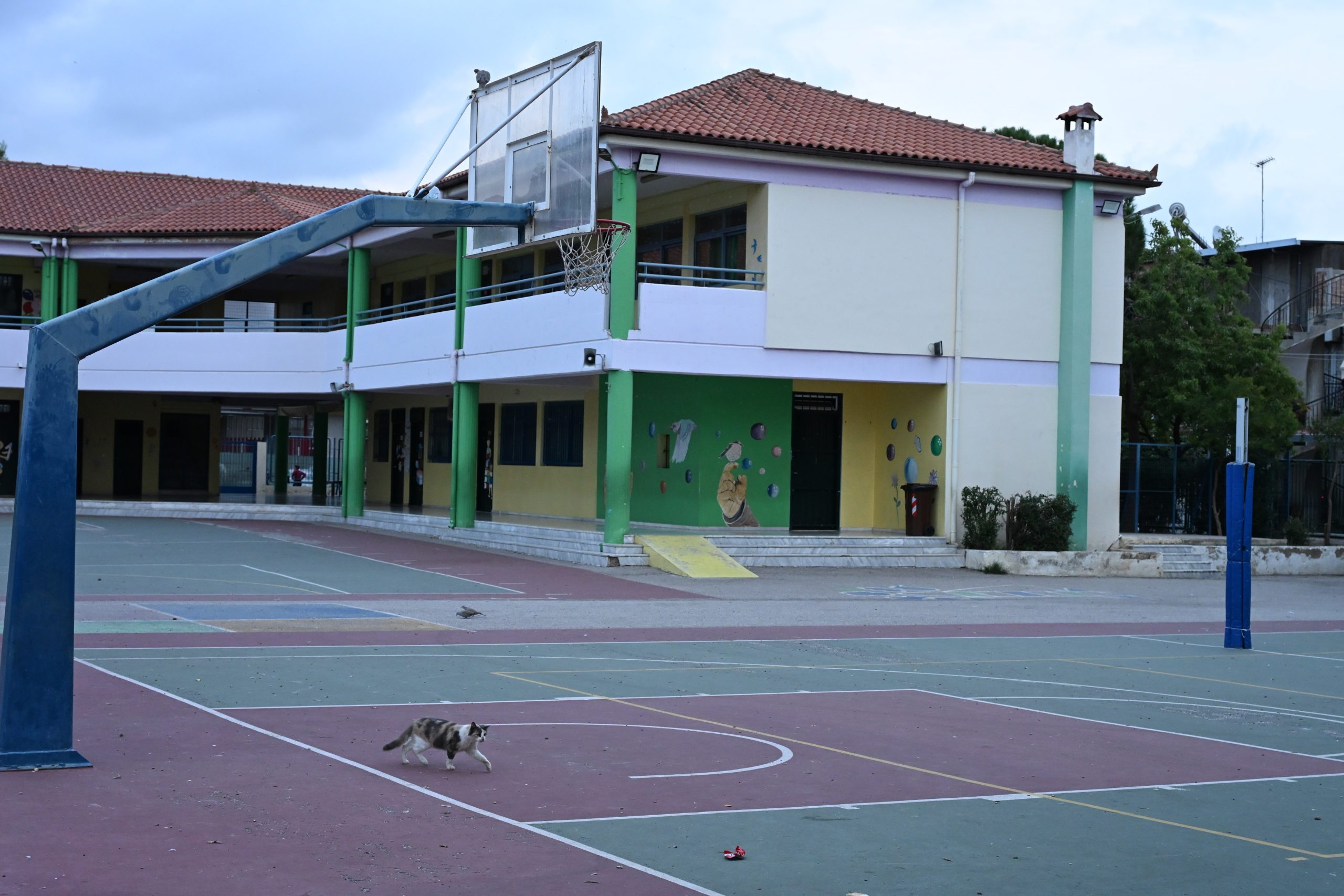 &Theta;&rho;ή&nu;&omicron;&sigmaf; &gamma;&iota;&alpha; &tau;&eta; 10&chi;&rho;&omicron;&nu;&eta; &mu;&alpha;&theta;ή&tau;&rho;&iota;&alpha; &sigma;&tau;&omicron;&nu; &Alpha;&sigma;&pi;&rho;ό&pi;&upsilon;&rho;&gamma;&omicron; &ndash; &Alpha;&nu;&alpha;&mu;έ&nu;&epsilon;&tau;&alpha;&iota; &eta; &iota;&alpha;&tau;&rho;&omicron;&delta;&iota;&kappa;&alpha;&sigma;&tau;&iota;&kappa;ή έ&kappa;&theta;&epsilon;&sigma;&eta; &gamma;&iota;&alpha; &tau;&alpha; &alpha;ί&tau;&iota;&alpha; &theta;&alpha;&nu;ά&tau;&omicron;&upsilon;