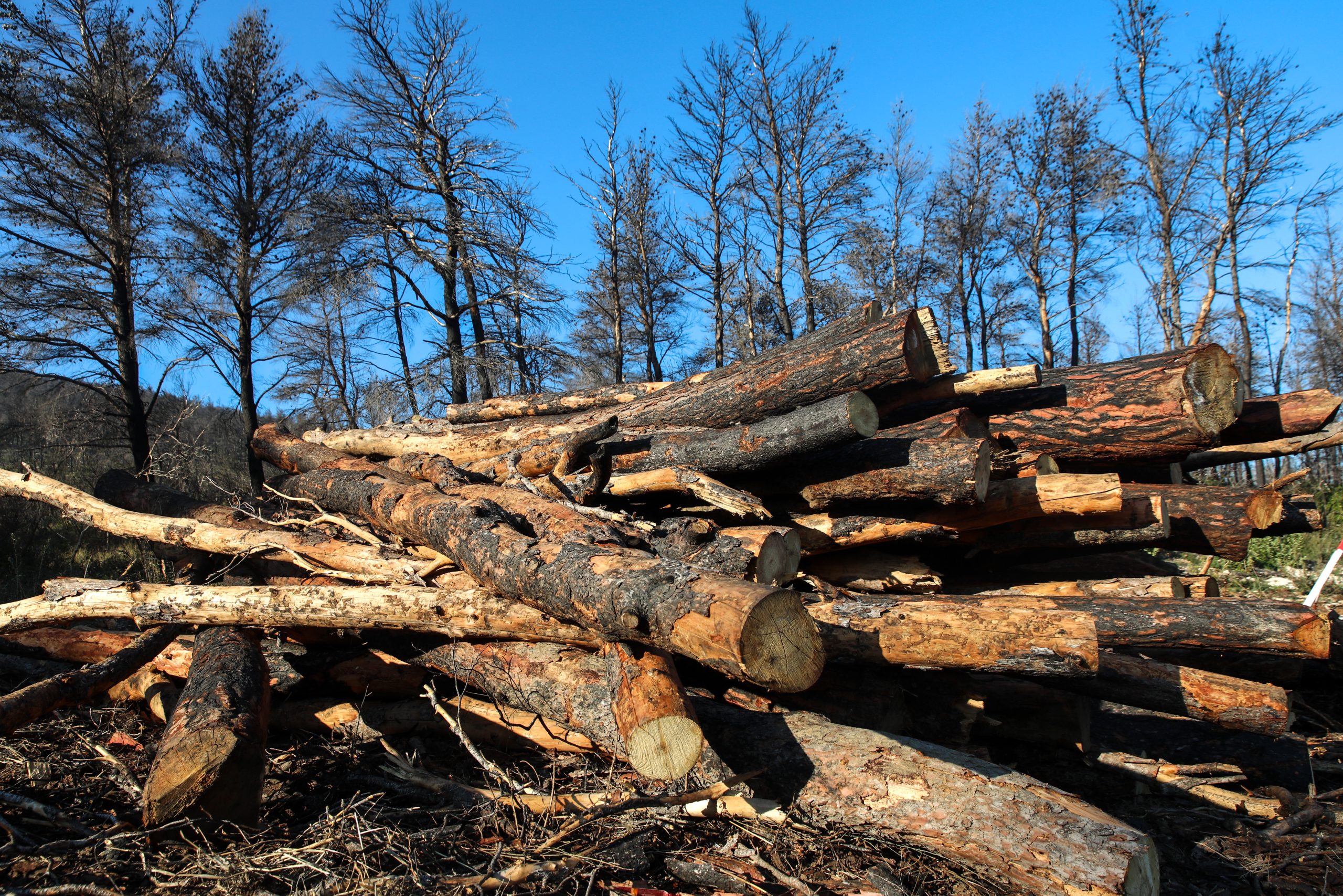 Επίδομα θέρμανσης: Τι γίνεται με όσους έχουν τζάκι και σόμπες; Τα ποσά για καυσόξυλα και πέλετ