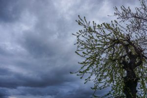 Καιρός: Ισχυρές βροχές και καταιγίδες τη Δευτέρα, οι περιοχές στο επίκεντρο – Πρόγνωση από την Ελίνα Καρέτσου